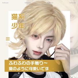 Sofeiyan Men's Wig, Wolf, Mallet Wolf, Long, Stylish Layered Twink, Natural, Small Face, Men's Clothing, Harajuku, Imechen, Cosplay, Full Wig, Black, Cosplay Wig, Unisex, Everyday Use, Wig Net