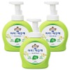 I'm Clean Hand Wash Forest Walk Scent Container, 490ml, 3 pcs / 아이깨끗해 핸드워시 숲속산책향 용기, 490ml, 3개