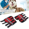 Pet Leg Brace Protector Wound Injury Recovery Dog Hock Joint
