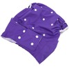 Adjustable Adult Cloth Diapers Anti Leakage Reusable Pocket Nappy for