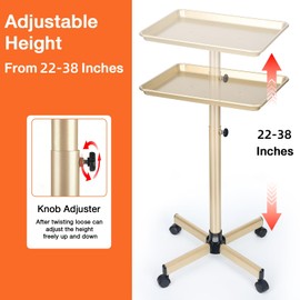 Salon Tray on Wheels, Champagne Gold Salon Tray Cart with Adjustable Height, Hair Stylist Tray, Metal Tattoo Tray, Suitable for SPA and Dental Tray