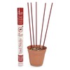 Skeeter Screen 61204R Mosquito Deterrent Incense Sticks – DEET-Free Essential