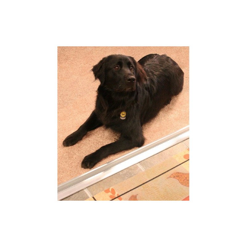 M-D Building Products 08078 72 in. Silver 3-3/4 in. x