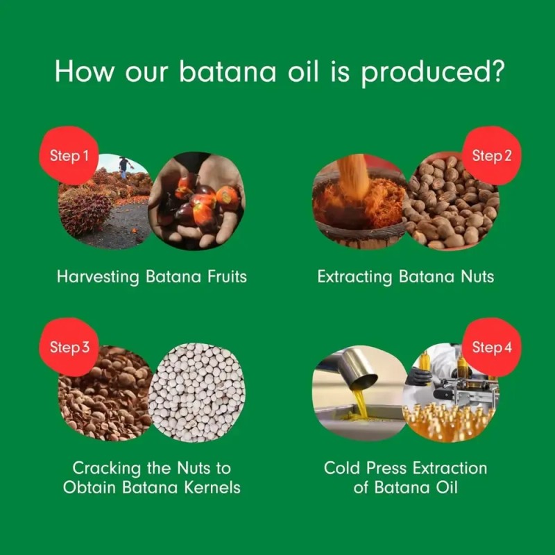 ( Aceite De Batana Para Las Raíces Del Cabello