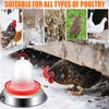 12in Chicken Warer Heater for Winter,5 Gallon Chicken Water Heated