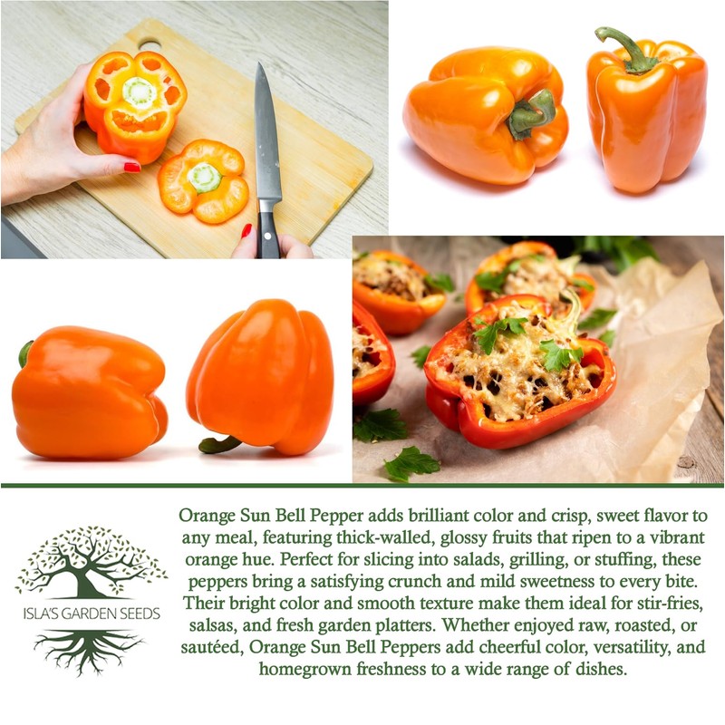 Orange Sun Bell Pepper Seeds (Capsicum annuum) – 100+ Non-GMO