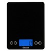 Escali 2210IB ArtiXL Extra-Large Glass Digital LCD Display Kitchen Scale,