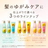 Diabote Oil in Shampoo (Rich & Repair) Refill