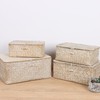 FEIALNDUO Wicker Shelf Baskets with Lid,Seagrass Storage Basket Bins Rectangular