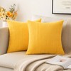 MIULEE Pack of 2 Super Soft Throw Pillow Covers Striped