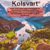 Kolsvart Sour Raspberry Candy Fish, 4.2 OZ