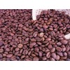 Laos Arabica G1 (250g) (Beans)