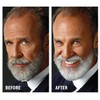 Godefroy Silver Fox Men's Silver And Gray Beard Brightener For