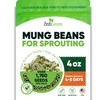 Mung Bean Sprouting Seeds - NON GMO- Resealable Bag for