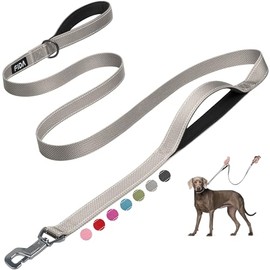 Fida Correa para perro acolchada con dos asas, cierre fácil avanzado, correas reflectantes resistentes para control de seguridad, correa para caminar para perros pequeños a grandes, 1,8 m, gris