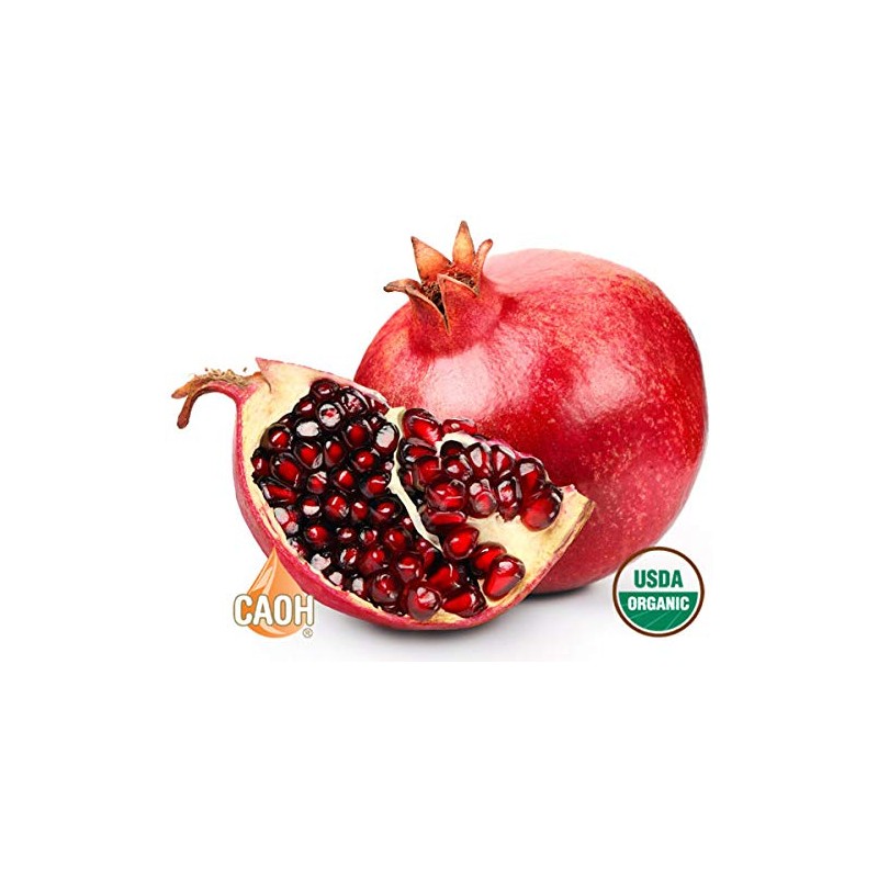 Absolute Pomegranate Juice 5:1 Concentrate Organic 16 oz from CAOH