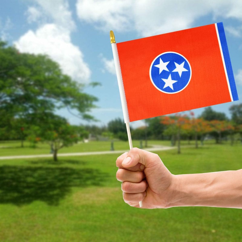 QQSD Tennessee Small Flag Stick Mini Hand Held Flags -
