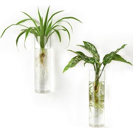 Mkono Propagation Station Wall Planter Hanging Glass Tubes Flower Vase for Hydroponics Plants, Bathroom, Home Office Living Room Decor Gift, Cylinder Set of 2