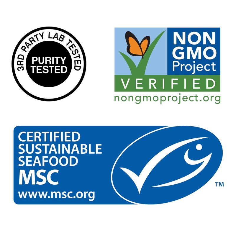 SOULSATION Icelandic Cod Liver Oil Liquid, Lemon (16oz) - Vitamins