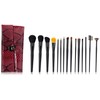 Crown Brush 15 Piece Pro with Designer Case Brush Set,