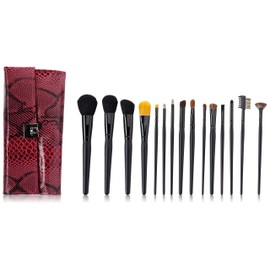 Crown Brush 15 Piece Pro with Designer Case Brush Set, Pink