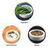 RunXF Reptiles Bowl Ceramics Dish 3.9 x 1 inch Round