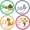 28 Baby Monthly Stickers - First Year - Mount to