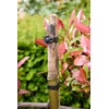 Flandria 30 Links Anchor Rubber 8 cm for Tying Plants