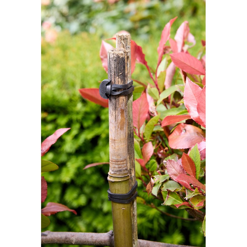 Flandria 30 Links Anchor Rubber 8 cm for Tying Plants