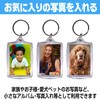 Fairy Tail Photo Keychain, Hamepachi Photo Keychain, Photo Frame, Photo