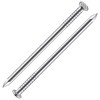 Wensilon (100 pcs)2 inch Stainless Steel 304 Nails, Hanging Nails,
