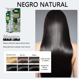 SWELCOLL Tinte Para el Cabello de Burbuja Vegetal, Tinte Rápido Para el Cabello, No Daña el Cabello, Personas Perezosas Tiñen el Cabello, TeñIdo Brevemente el Cabello 200ml (Negro)