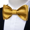 DiBanGu Self Tied Bow Tie for Men Gold Bowtie for