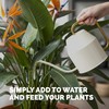 Bird of Paradise Fertilizer – Liquid Plant Food for Bigger