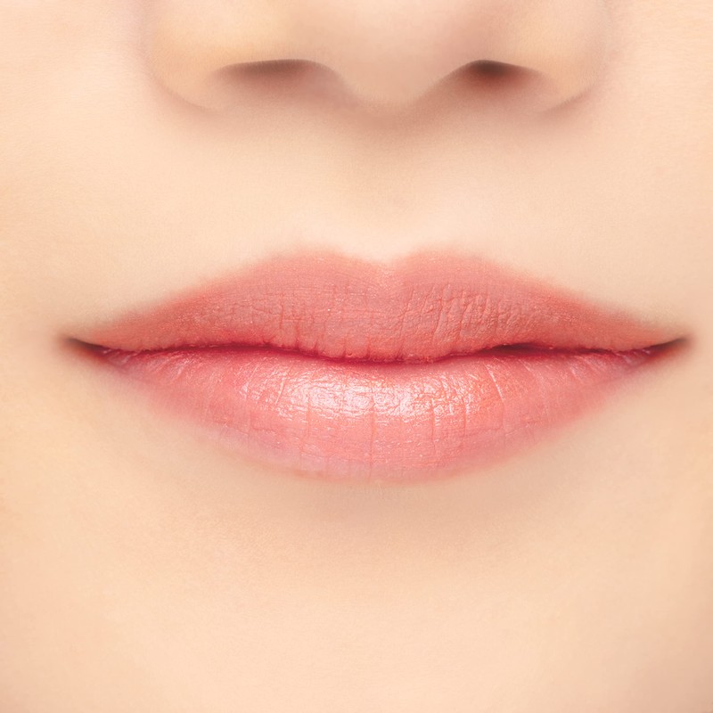 Chacott SK08 Silky Chacot Multi Color Variations