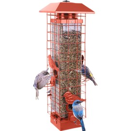 Bird Feeder for Outside, Metal Squirrel Proof Bird Feeders for Outdoors Hanging, 4 Ports Perches, Large Capacity (Tangerine)