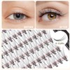 Bodermincer Extensiones de pestaas individuales, 240 paquetes de rizo D,