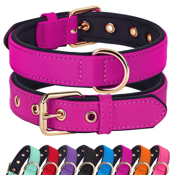 Didog Dog Collar with Soft Padding, Strong Dog Collars with