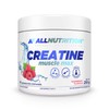 ALLNUTRITION Creatine Muscle Max Dietary Supplement - Creatine Monohydrate with