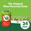 V8 Spicy Hot 100% Vegetable Juice, 11.5 Fl Oz Can