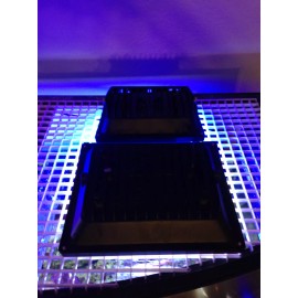 SaltWater Salt Water Aquarium Reef 2X LED Light Combo 30W 12K & 20W Actinic Blue 14 20 29 nano cube