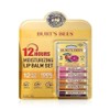 Burt's Bees lip balm 5 packs (SH) / 버츠비 립밤 5입(SH)