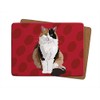 Tort Cat - Set of 4 Table Mats - Leslie