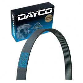 Dayco Main Drive Serpentine Belt Compatible with Ford Focus 2.0L L4 2001-2004