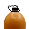Vonixx V-Mol Shampoo Profesional Quita Lodo 5L | Shampoo Desincrustante