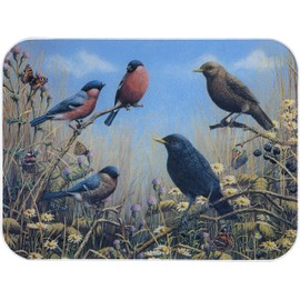 McGowan's TufTop Blackbird and Bullfinch Tempered Glass Cutting Board. 12 by 9 inches.