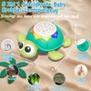 Aragallant Crawling Toy, Music Toy Turtle, Crawling Turtle with Music