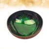 HEMOTON Coconut Bowls Natural Coconut Shell Bowl Decorative Key Storage