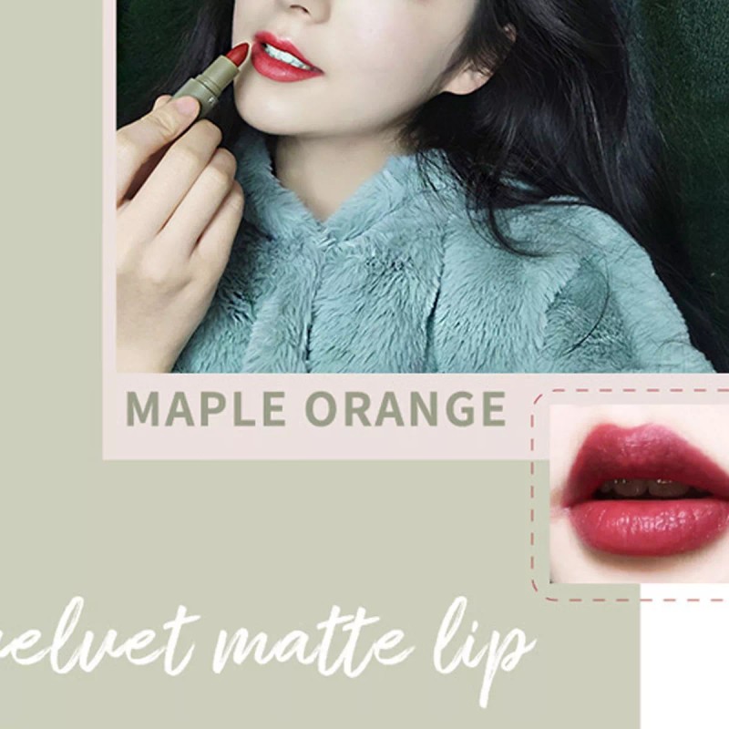 Mizetli Lápices Labiales Pintalabios Mate Lip Gloss Maquillaje 5pzs