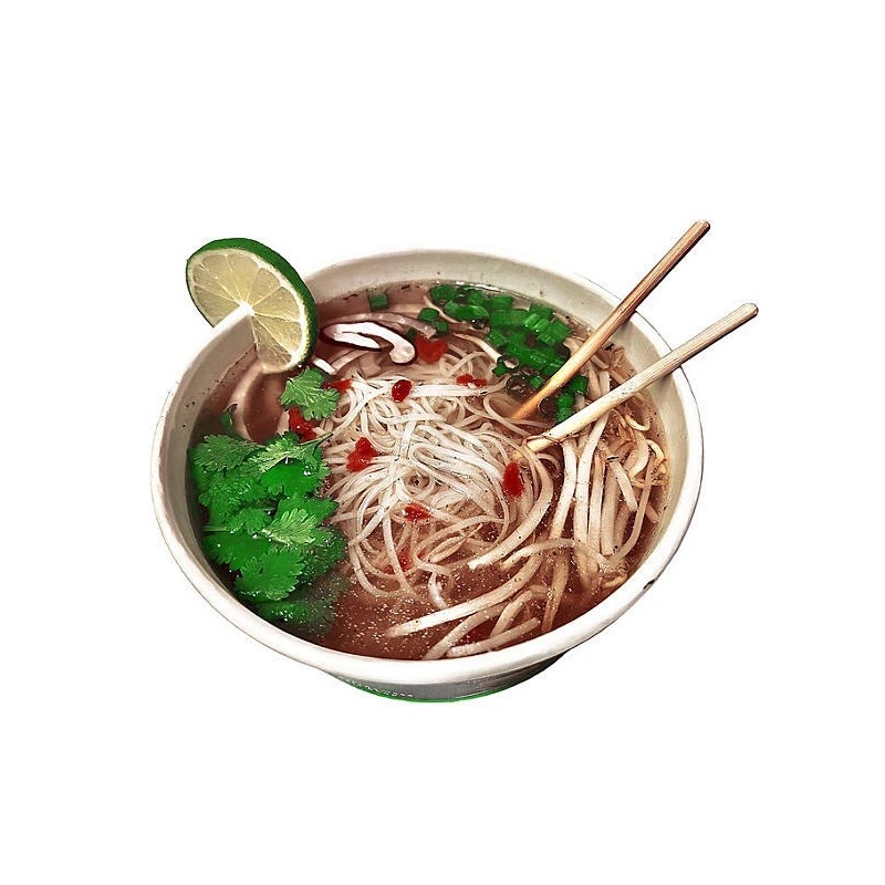 PhoLicious Vegetarian Instant Pho, 3.6 oz., 4 pk.